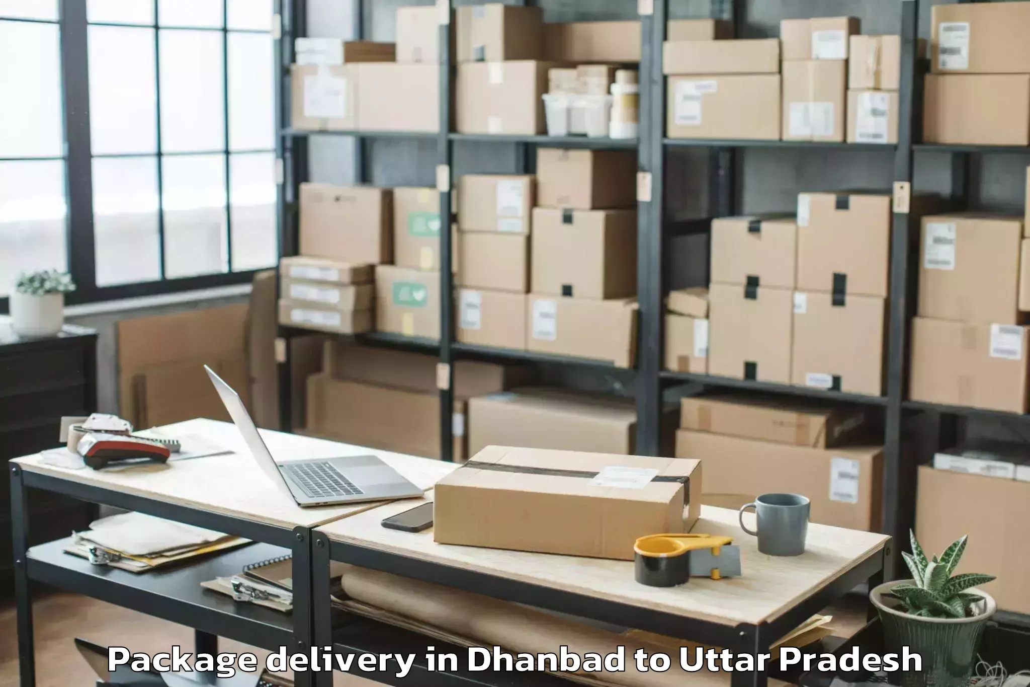 Trusted Dhanbad to Babrala Package Delivery